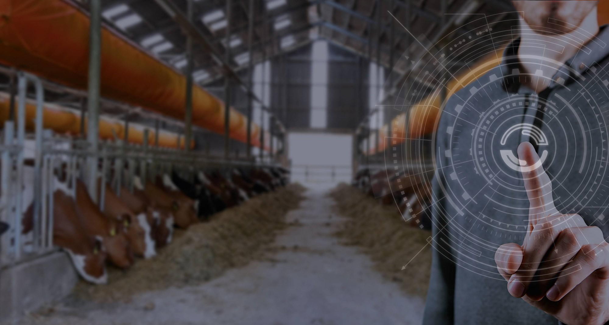 Farmer inquiring about vet.smart solutions for livestock