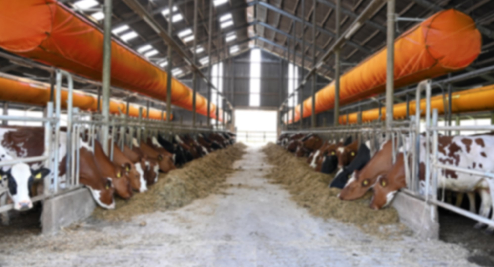 vet.smart tube ventilation system revolutionizing barn climate for healthier animals